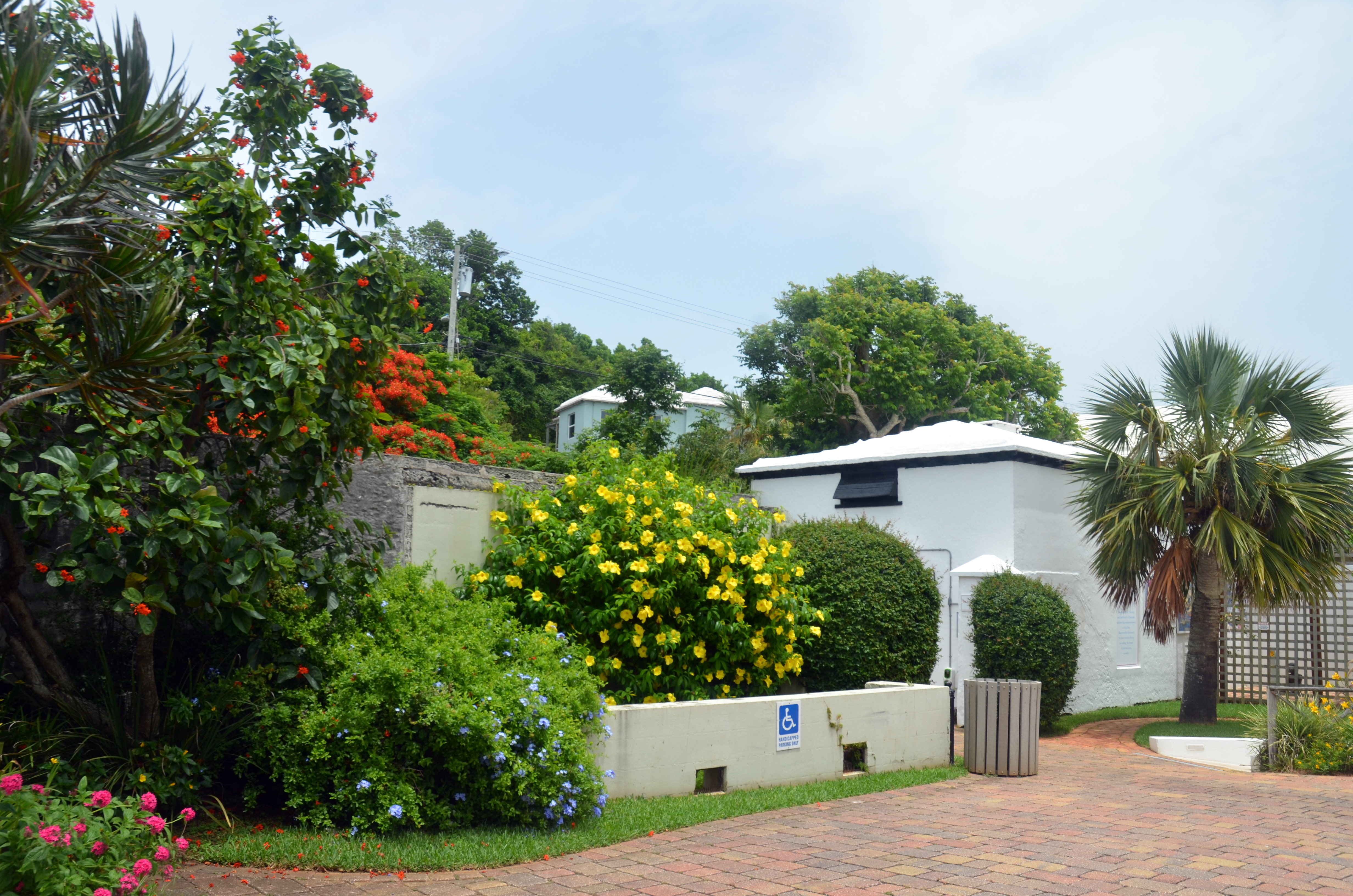 Bermuda Botanical Gardens Chestercountyramblings